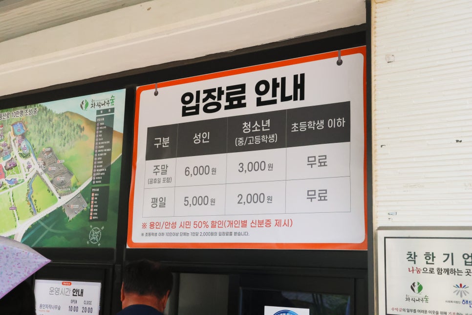 베툴라 사진 5