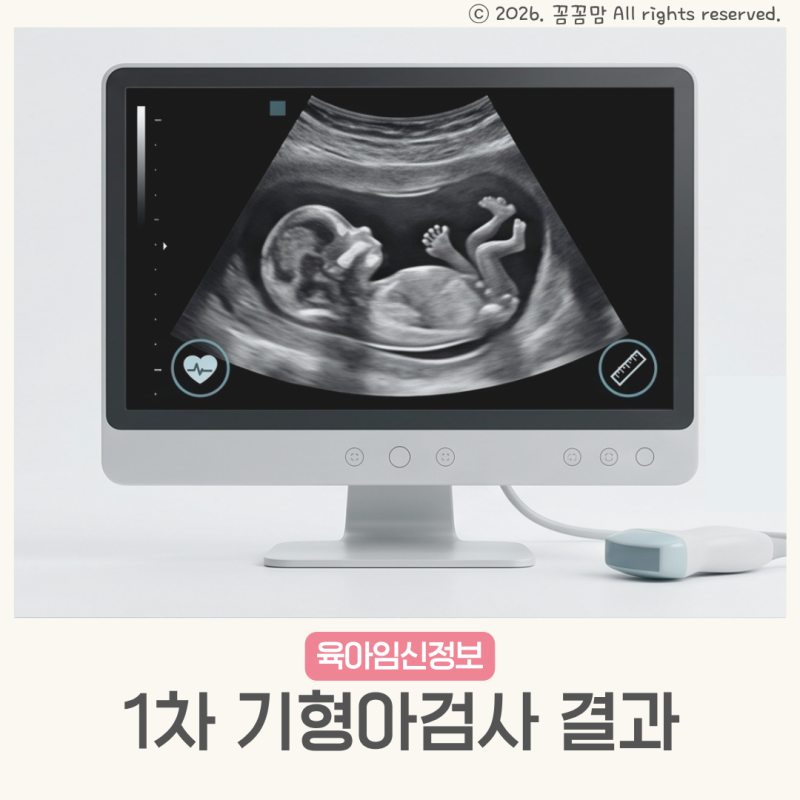 1차 기형아검사 시기 결과 고위험군 비용 니프티