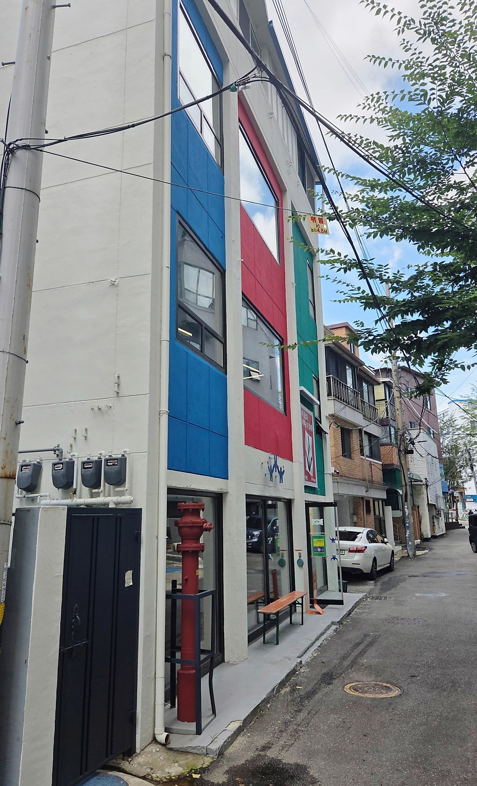 리본 사진 3