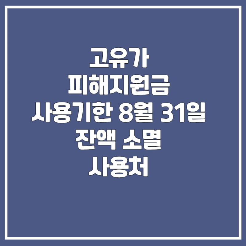고유가 피해지원금 사용기한 8월 31일 잔액 소멸 사용처 총정리