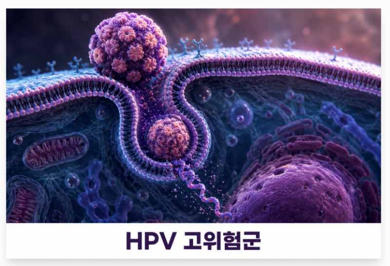 HPV고위험군 16 18 관리할 때 중요한 회복 과정