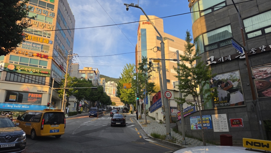 고혼 사진 5
