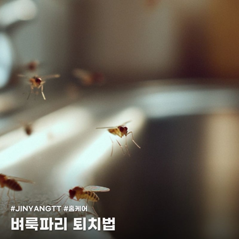 벼룩파리는 초파리랑 뭐가 다를까요? 퇴치법과 원인 정리