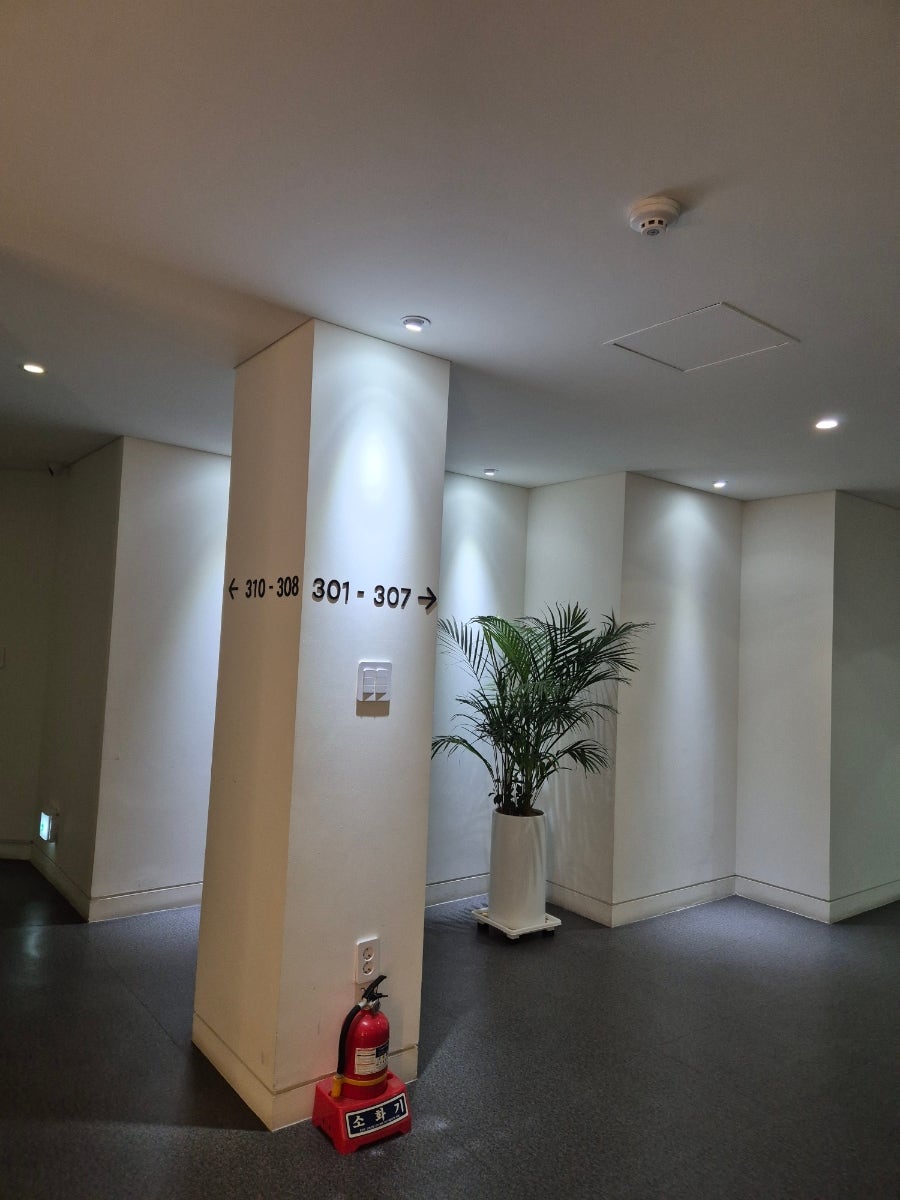 라자비 사진 4