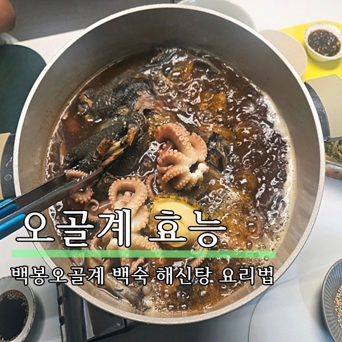 오골계 효능 백봉오골계 백숙 해신탕 요리법