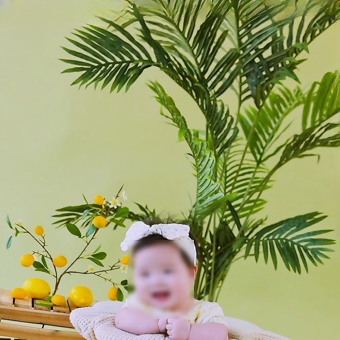 라르고 사진 6