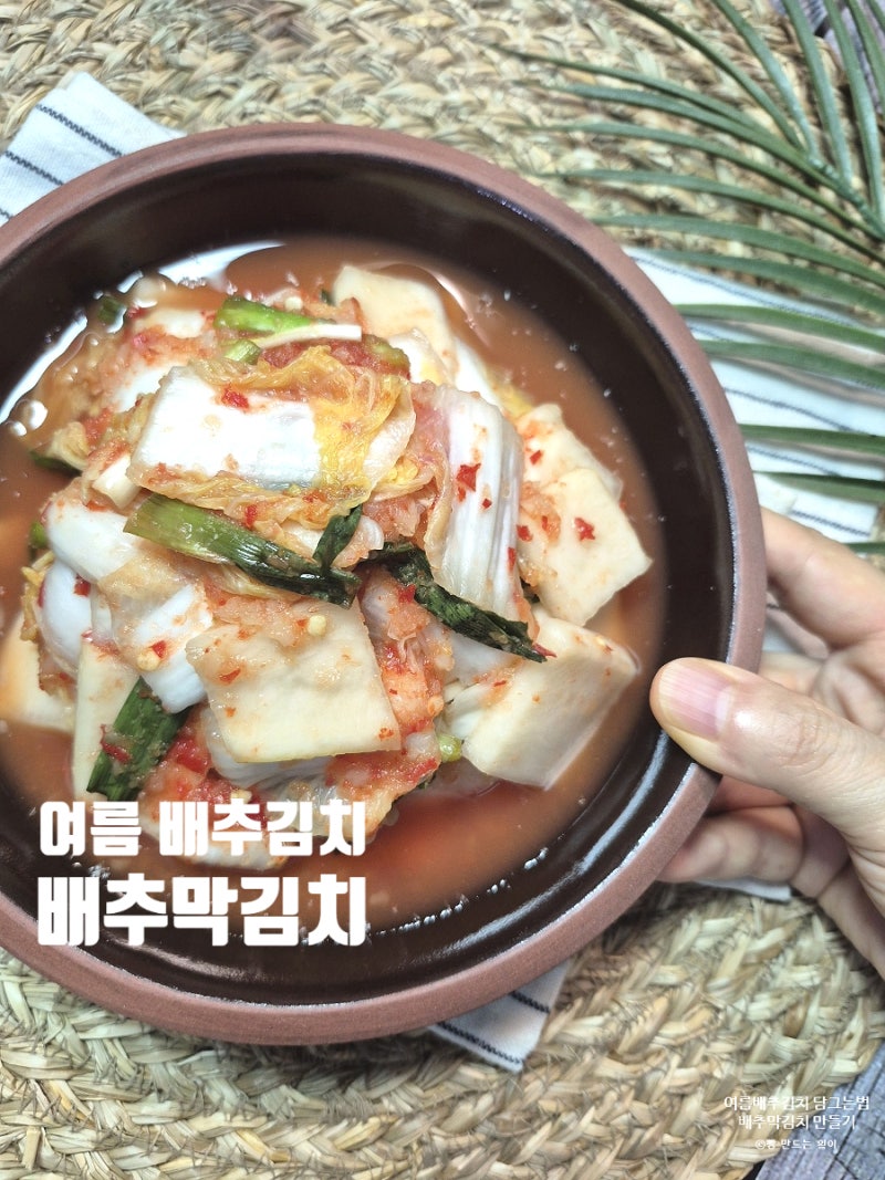 여름 배추김치 담그는법 배추막김치 만들기 알배추 2포기 양념 정리