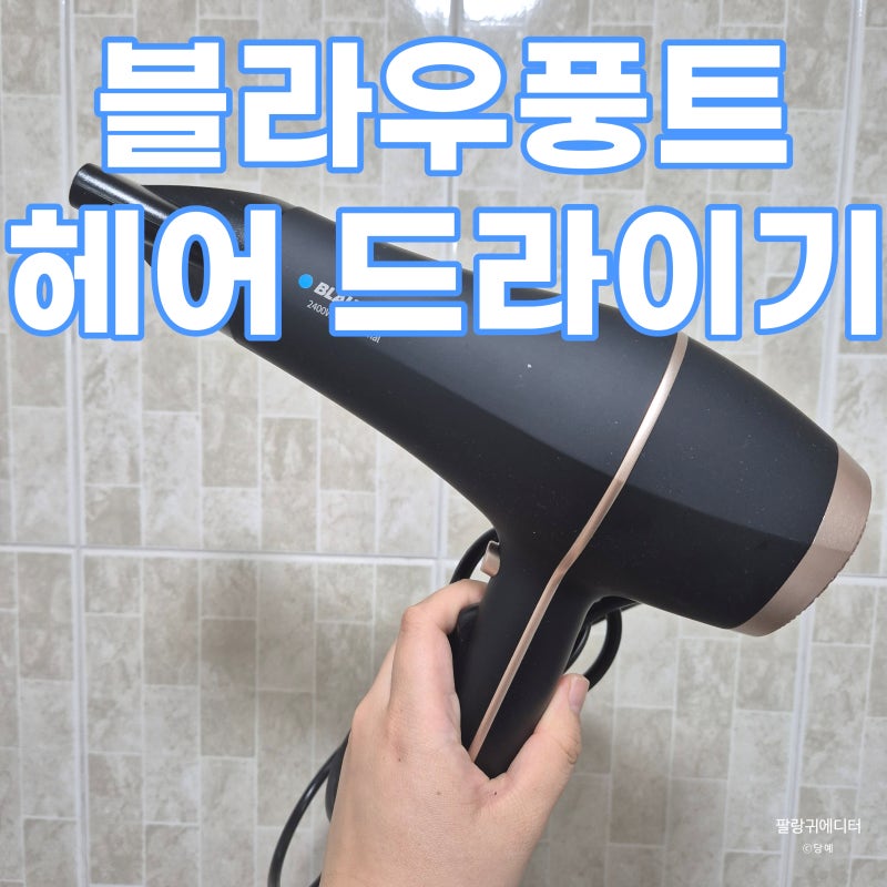 블라우풍트 전문가용 헤어 드라이기 : 하지만 나는 전문가가 아닌..