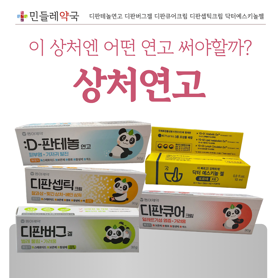 민들레 사진 1