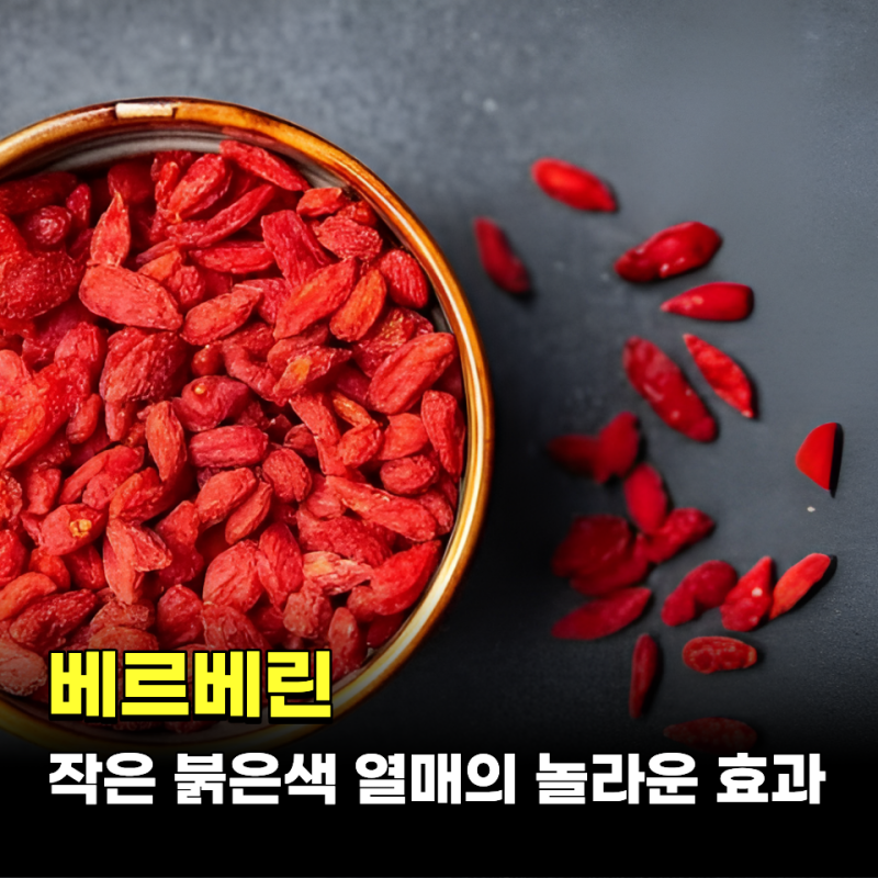 베르베린 작은 붉은색 열매의 놀라운 효과