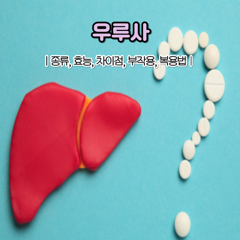 우루사 효능 차이점 우루사 효과 높이는 복용법 부작용은?