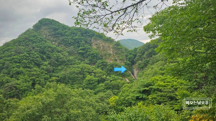 마실 사진 5