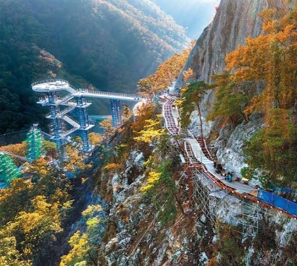 뮤지엄산 사진