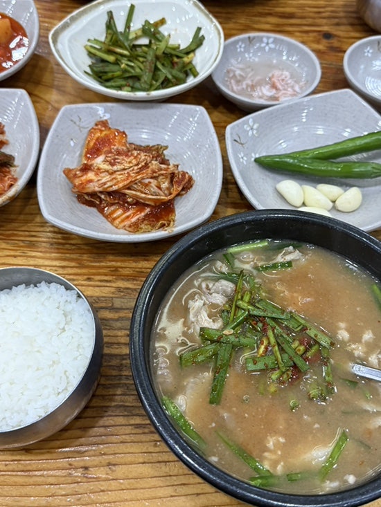 토박이 사진 4