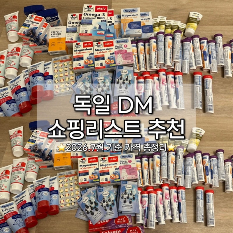 [독일/드레스덴] 독일 dm 쇼핑리스트 선물추천! 드레스덴 dm에서 직접 구매한 기념품 가격 총....