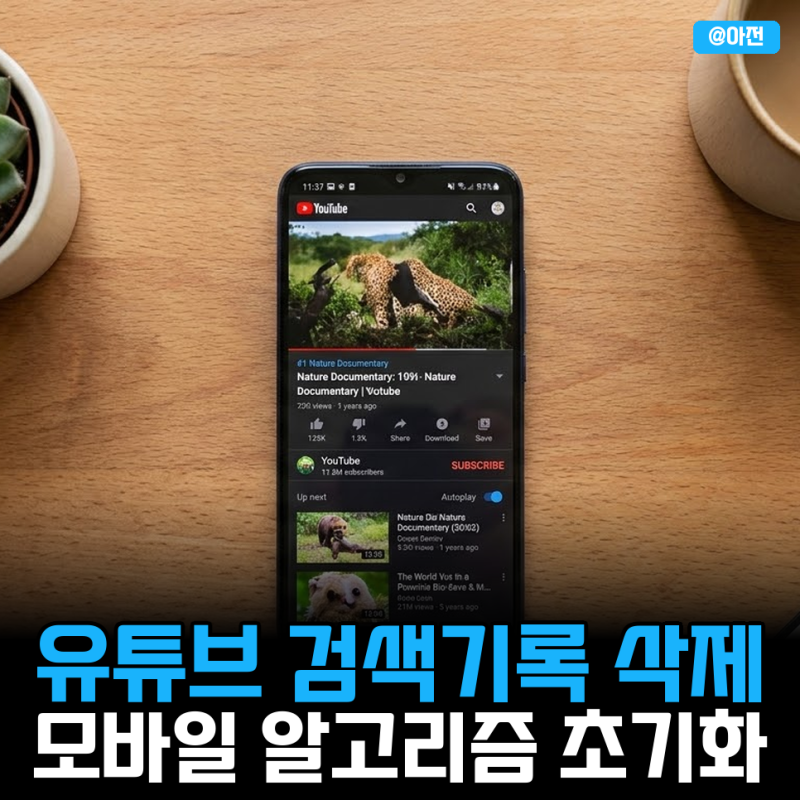 유튜브 검색기록 삭제 모바일 알고리즘 초기화 방법