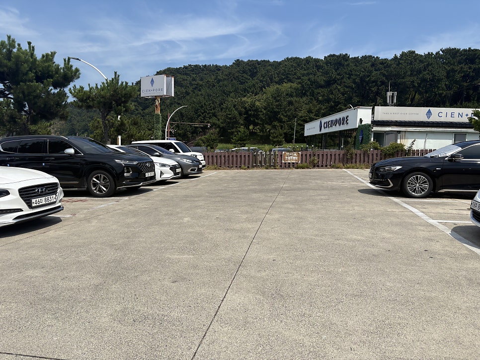 보리꽃 사진 3