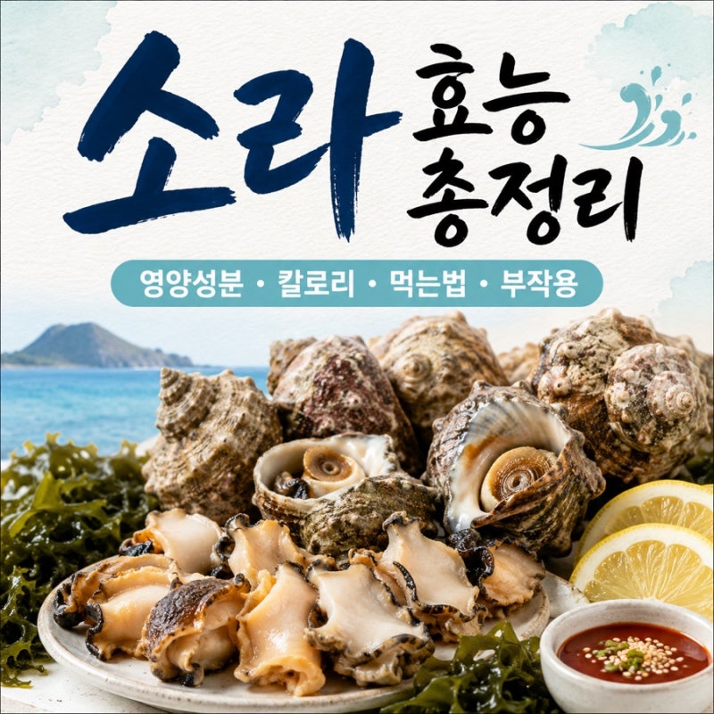 소라 효능 총정리 특징 · 영양성분 · 칼로리 · 부작용 · 맛있게 먹는 법까지