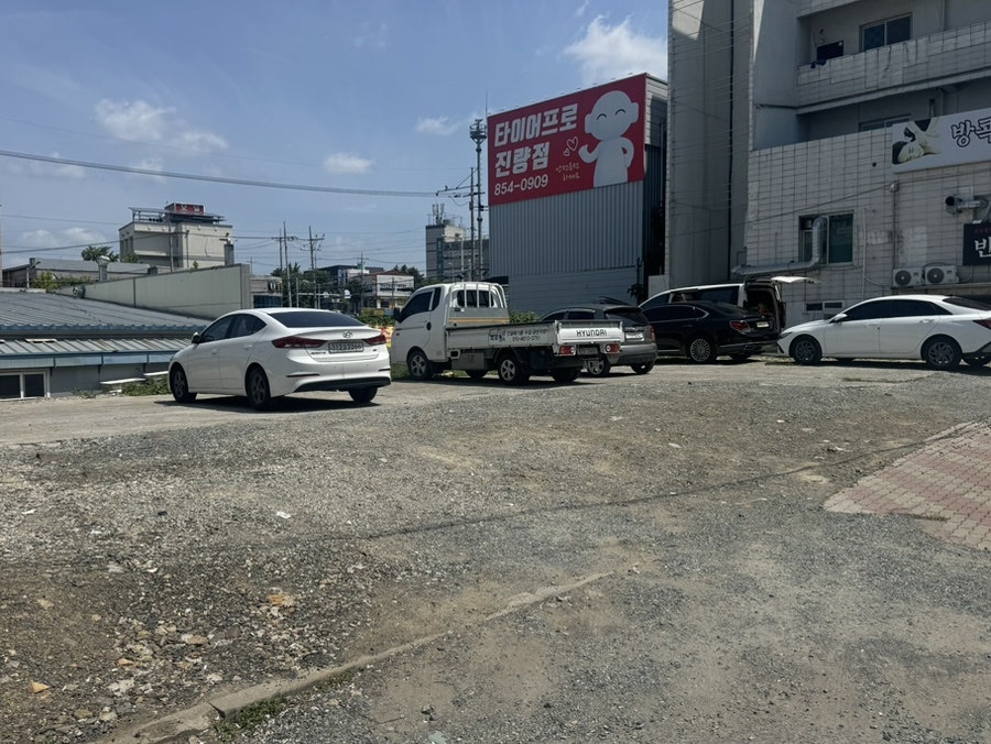 토산지 사진 3