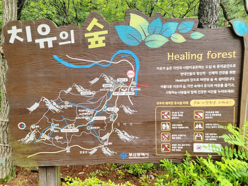 부산 치유의 숲, 기장 가볼 만한 곳 예약 없이 들르기 좋은 산책코스