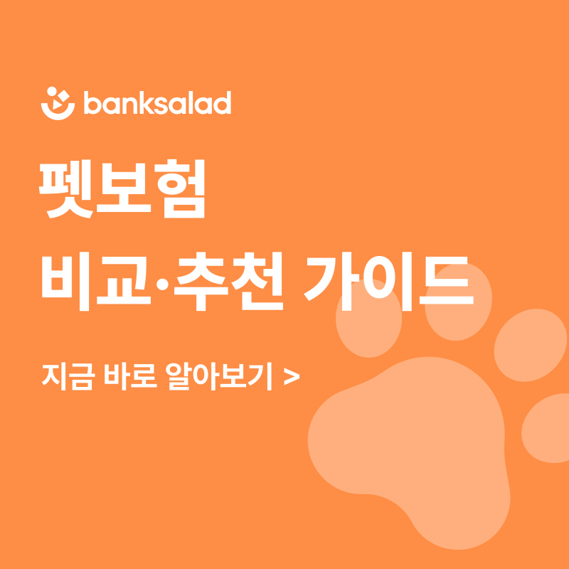 펫보험 필요할까? | 펫보험 추천 및 비교 총정리