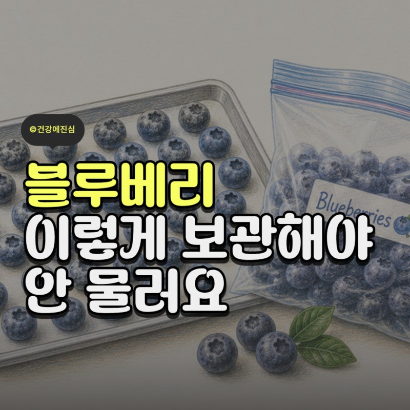 블루베리 세척법과 보관법 냉동 블루베리 씻어야 할까?