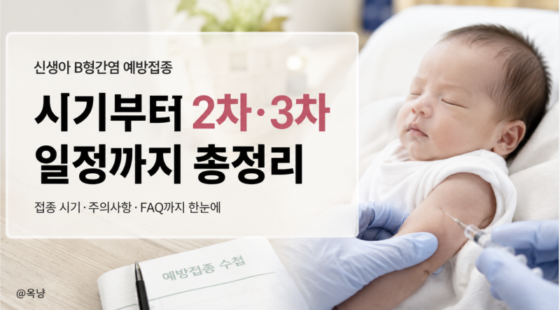 신생아 B형간염 예방접종 시기부터 2차·3차 일정까지 총정리