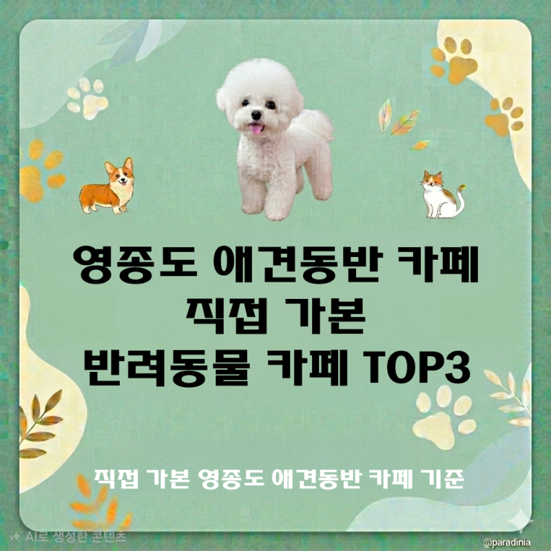 영종도 애견카페 추천 | 내 기준 영종도 반려동물 동반 카페 TOP 3