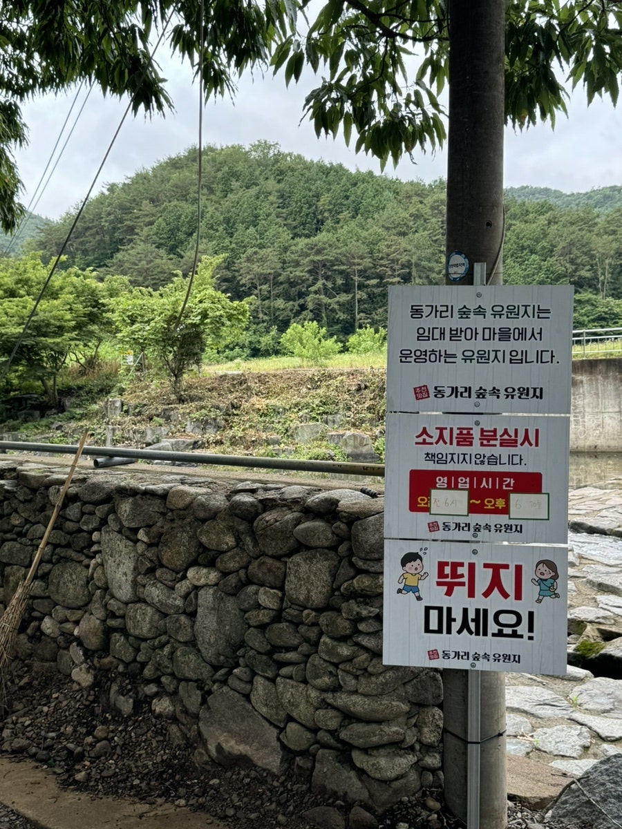 숲속유원지 사진 5
