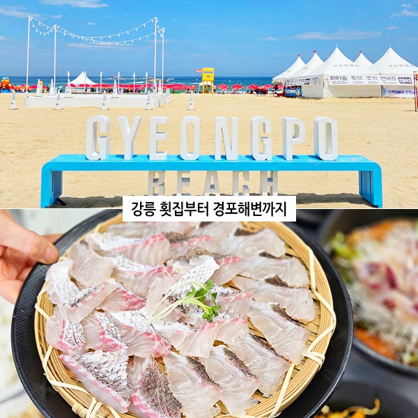 강릉 횟집 추천 경포대 물회 회포장 후 경포해변 물놀이장 해수욕장 놀거리