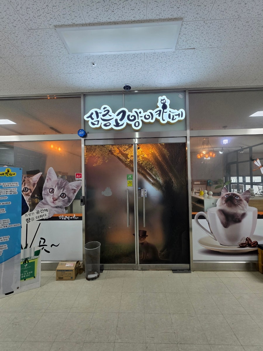 삼층고양이 사진 2