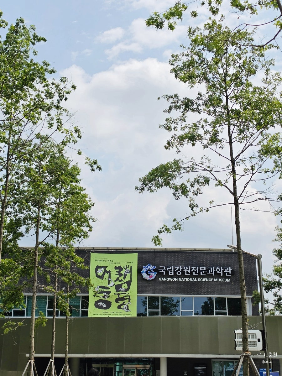 국립강원전문과학관 사진 5