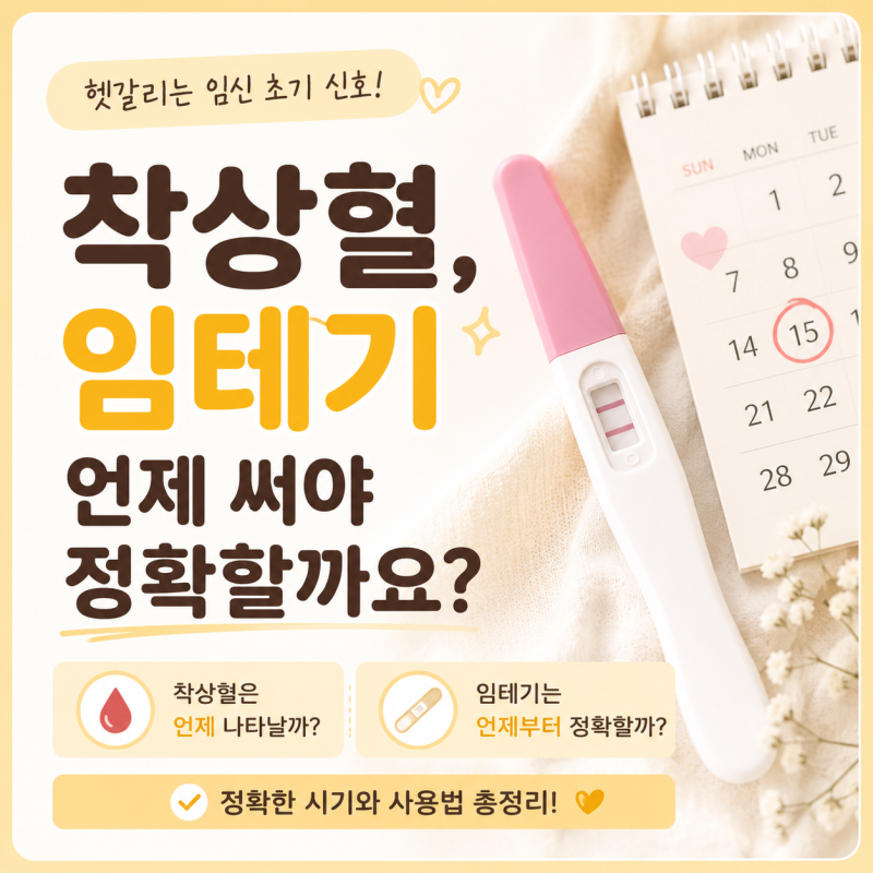 임테기 사용시기 헷갈리시죠? 착상혈부터 정리했어요 (착상혈, 임테기 사용시기)