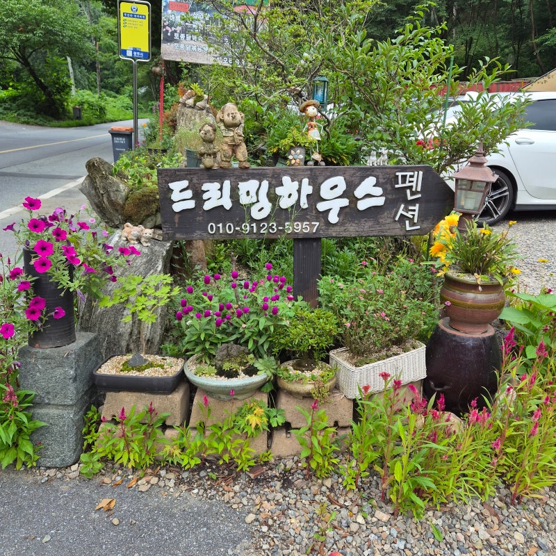 경기 광주 계곡 펜션 추천｜천진암계곡 바로 앞 드리밍하우스에서 즐긴 힐링 여행