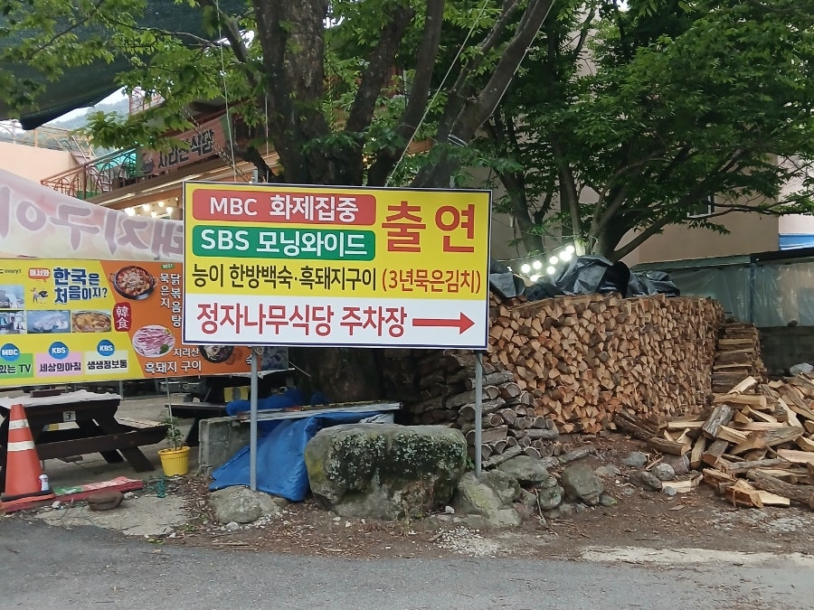 정자나무식당 사진 6