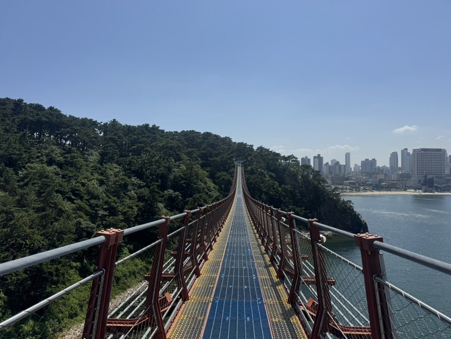 신천쭈꾸미 사진 6