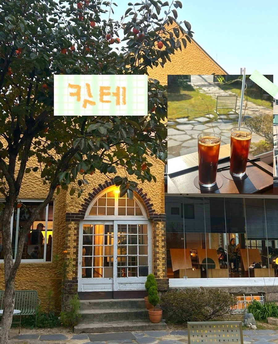 킷테 사진 1