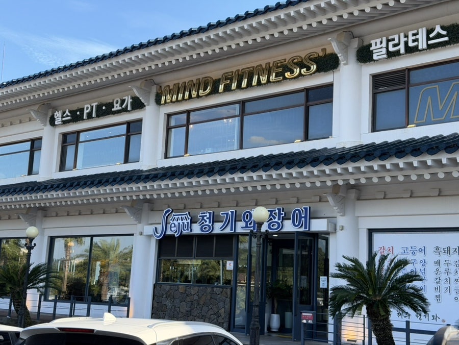 제주청기와장어 사진 3