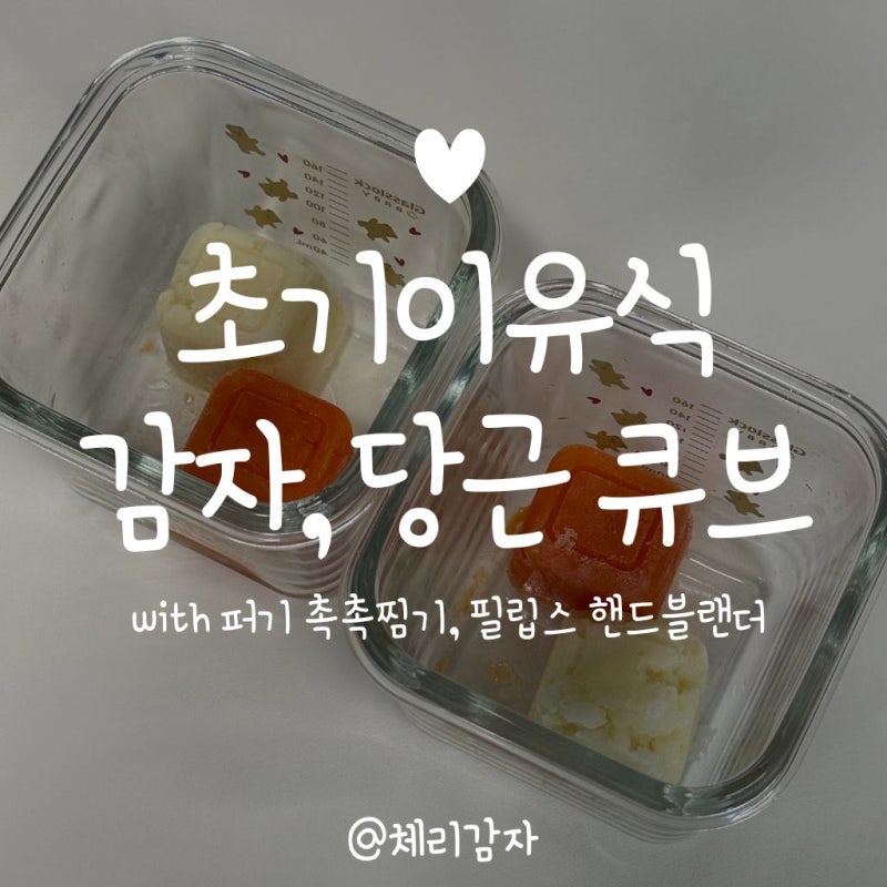 초기 이유식 감자·당근 큐브 만들기｜ 전자레인지로 간단하게