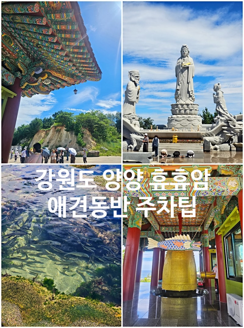 강원도 양양 휴휴암 사찰 물놀이와 주차팁 애견동반