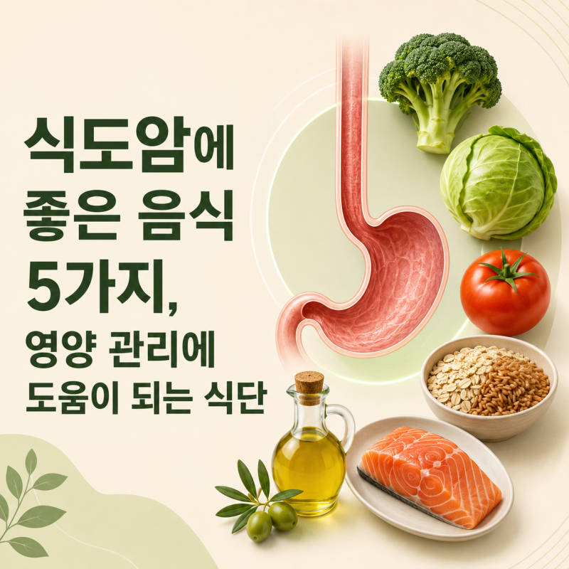 식도암에 좋은 음식, 식도 건강을 지키고 영양 관리에 도움이 되는 식단 구성법