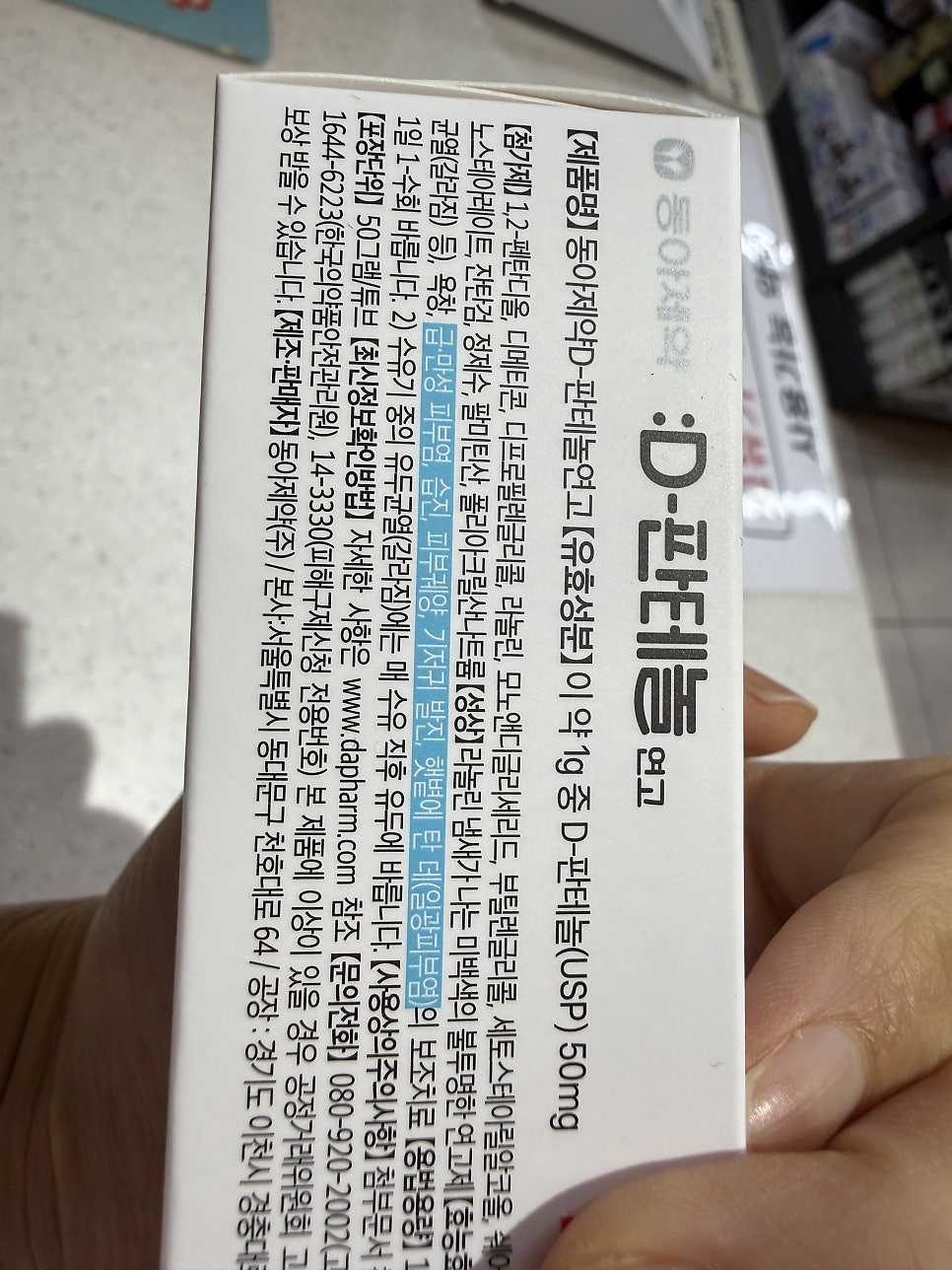 민들레 사진 5