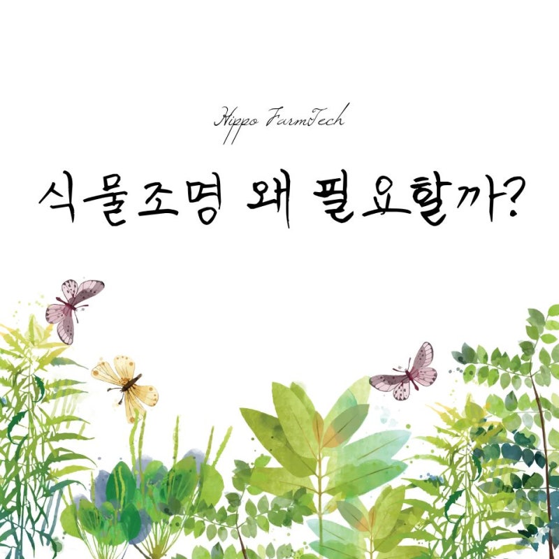 식물조명 왜 필요할까요? 초보 식집사를 위한 식물생장 LED 기초 가이드