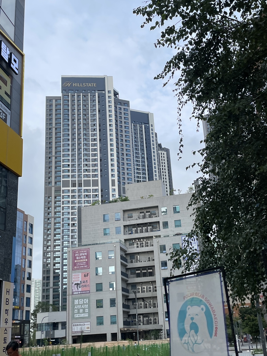 곱다올 사진 3