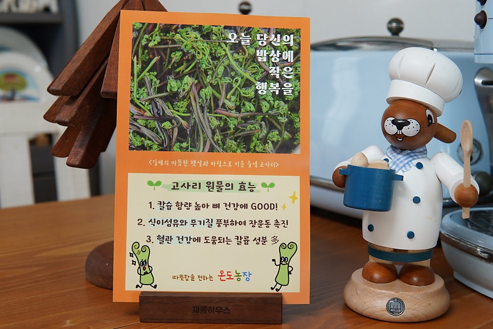 들녘 사진 5