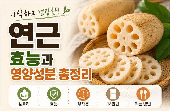 연근 효능과 영양성분 총정리｜칼로리부터 부작용, 보관법, 먹는 방법까지