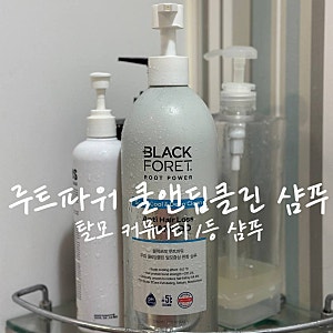 블랙포레 샴푸 대다모1등샴푸 두피 쿨&딥클린 후기 (코스트코추천템, 탈모샴푸추천)