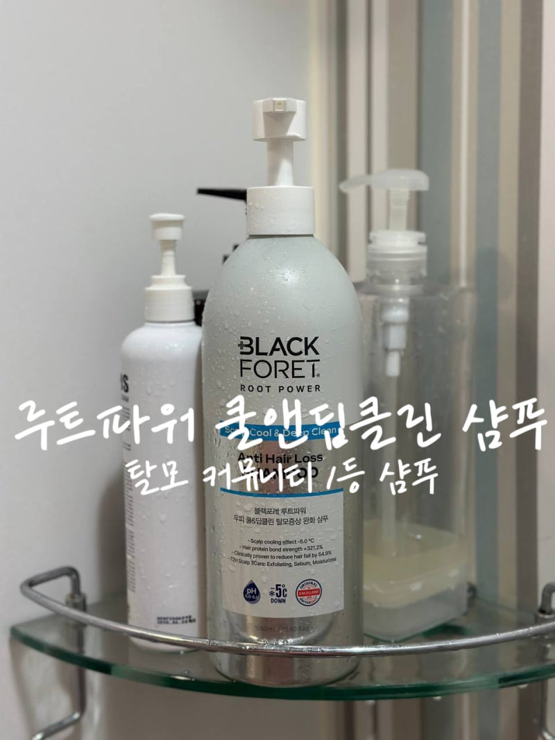 블랙포레 샴푸 대다모1등샴푸 두피 쿨&딥클린 후기 (코스트코추천템, 탈모샴푸추천)