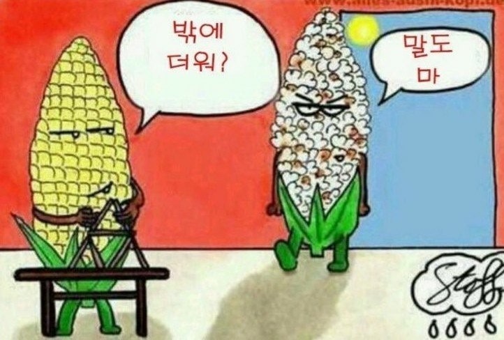 프랭크커핀바 대전도안점 사진 1