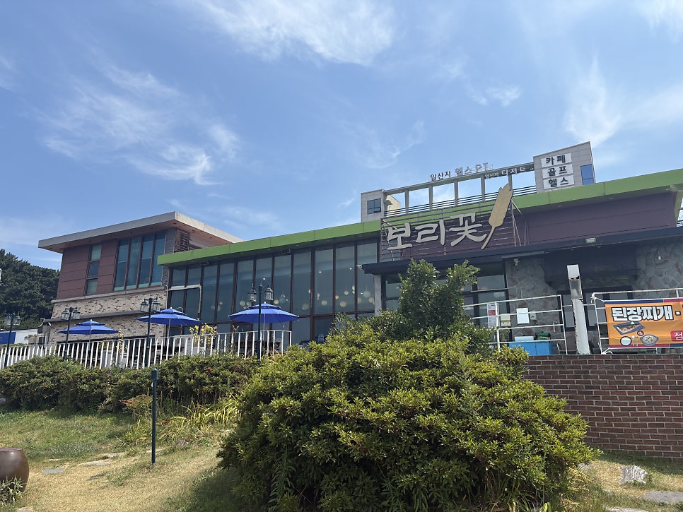 보리꽃 사진 1